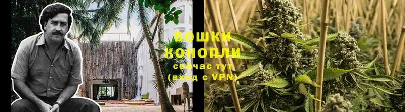 Бошки Шишки OG Kush  купить наркоту  Лихославль 